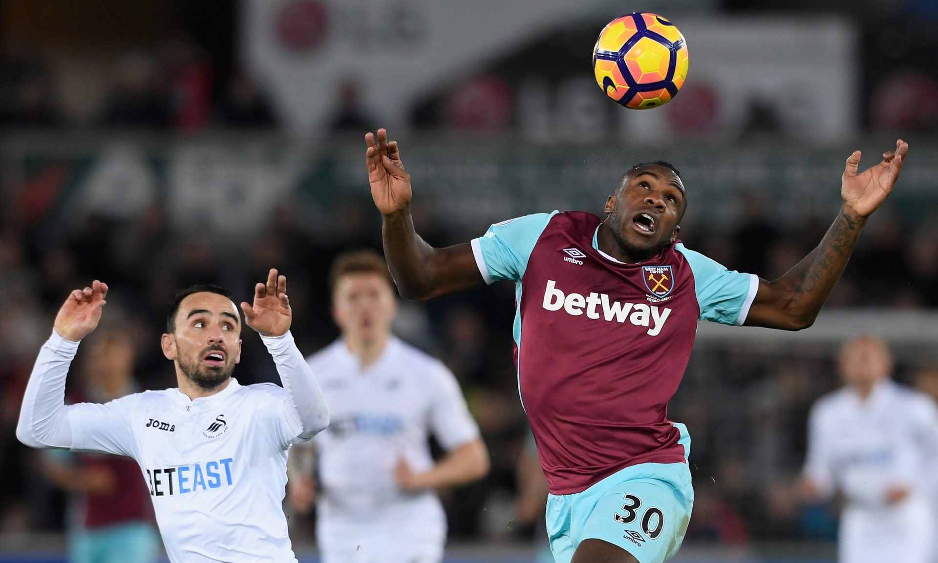 足并采取建 足并采取建